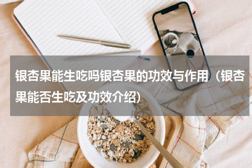 银杏果能生吃吗银杏果的功效与作用（银杏果能否生吃及功效介绍）