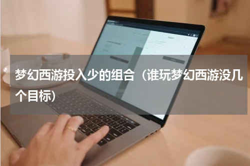 梦幻西游投入少的组合（谁玩梦幻西游没几个目标）