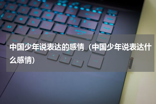 中国少年说表达的感情（中国少年说表达什么感情）