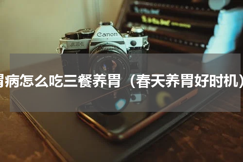 胃病怎么吃三餐养胃（春天养胃好时机）