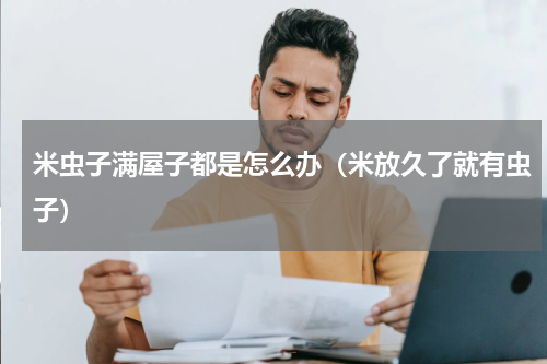 米虫子满屋子都是怎么办（米放久了就有虫子）