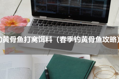 钓黄骨鱼打窝饵料（春季钓黄骨鱼攻略）