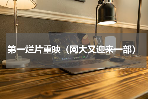 第一烂片重映（网大又迎来一部）