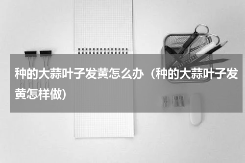 种的大蒜叶子发黄怎么办（种的大蒜叶子发黄怎样做）