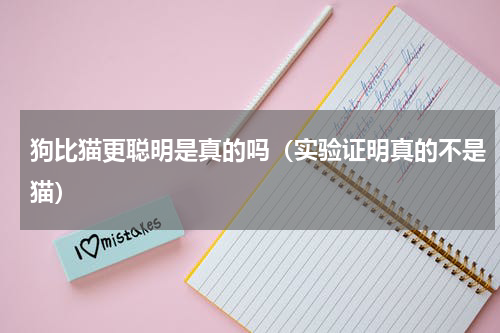 狗比猫更聪明是真的吗（实验证明真的不是猫）