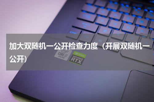 加大双随机一公开检查力度（开展双随机一公开）