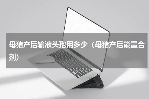 母猪产后输液头孢用多少（母猪产后能量合剂）