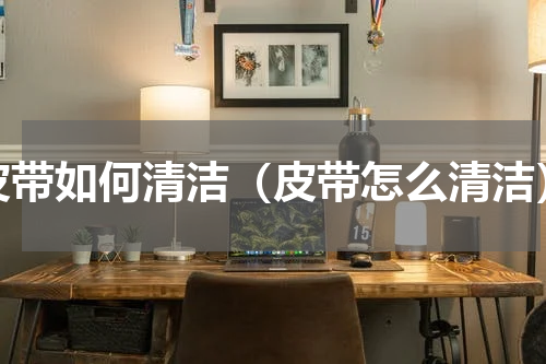 皮带如何清洁（皮带怎么清洁）