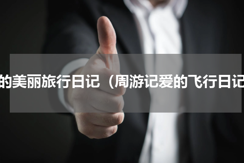 我的美丽旅行日记（周游记爱的飞行日记）