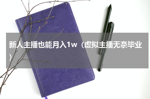 新人主播也能月入1w（虚拟主播无奈毕业）