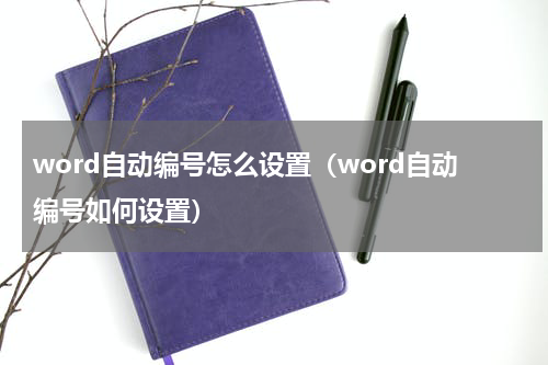 word自动编号怎么设置（word自动编号如何设置）