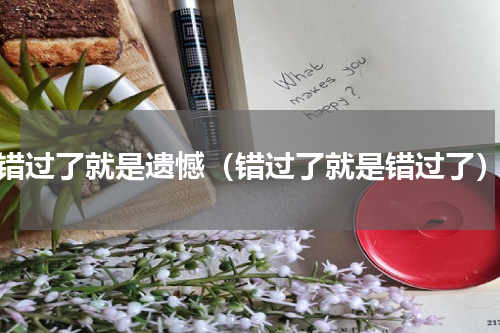 错过了就是遗憾（错过了就是错过了）