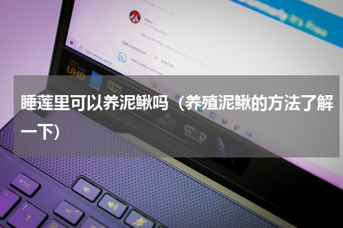 睡莲里可以养泥鳅吗（养殖泥鳅的方法了解一下）