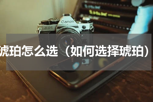 琥珀怎么选（如何选择琥珀）