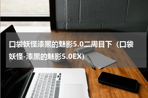 口袋妖怪漆黑的魅影5.0二周目下（口袋妖怪-漆黑的魅影5.0EX）