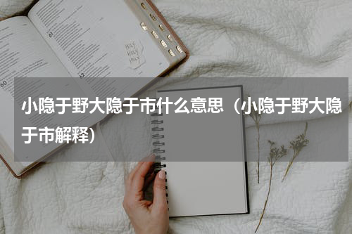 小隐于野大隐于市什么意思（小隐于野大隐于市解释）