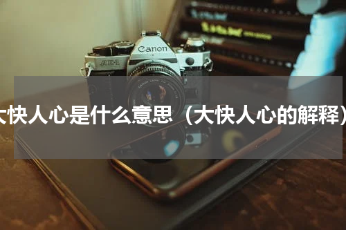 大快人心是什么意思（大快人心的解释）