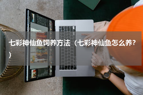 七彩神仙鱼饲养方法（七彩神仙鱼怎么养？）