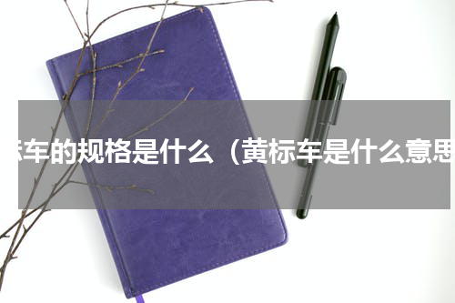 黄标车的规格是什么（黄标车是什么意思）