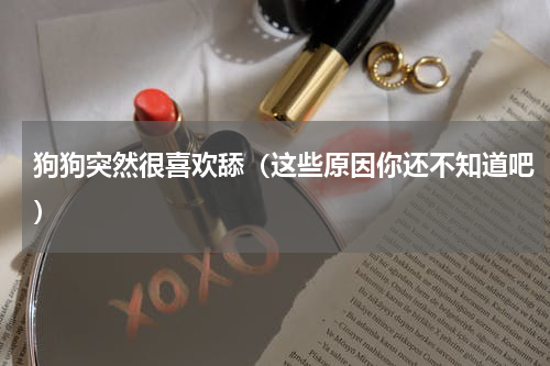 狗狗突然很喜欢舔（这些原因你还不知道吧）
