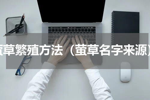 萤草繁殖方法（萤草名字来源）