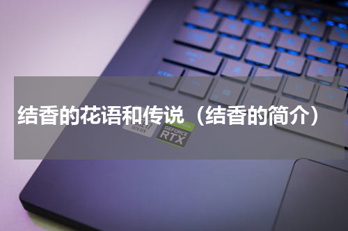 结香的花语和传说（结香的简介）