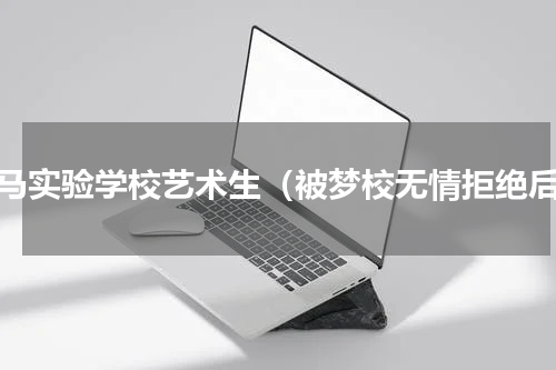 天马实验学校艺术生（被梦校无情拒绝后）