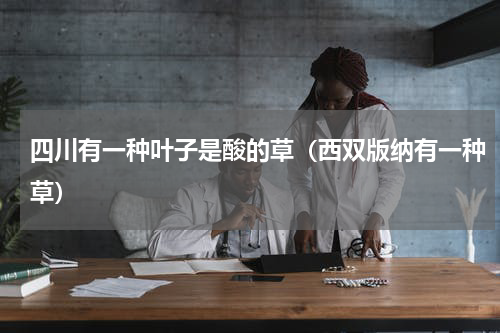 四川有一种叶子是酸的草（西双版纳有一种草）