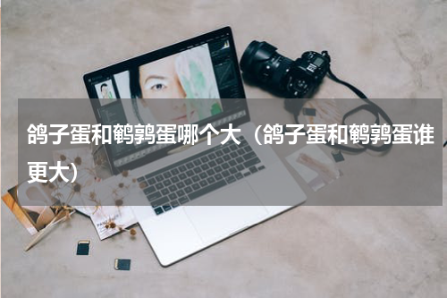 鸽子蛋和鹌鹑蛋哪个大（鸽子蛋和鹌鹑蛋谁更大）