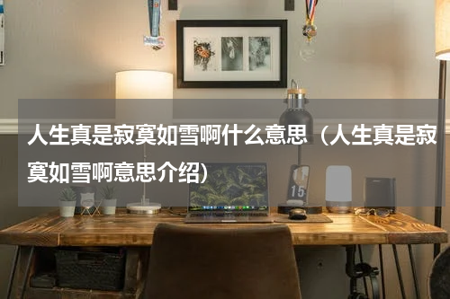 人生真是寂寞如雪啊什么意思（人生真是寂寞如雪啊意思介绍）
