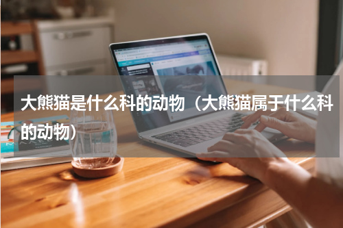 大熊猫是什么科的动物（大熊猫属于什么科的动物）
