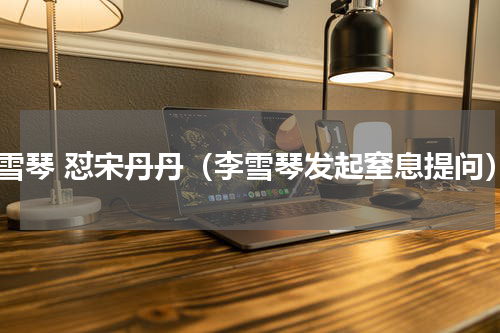 李雪琴 怼宋丹丹（李雪琴发起窒息提问）