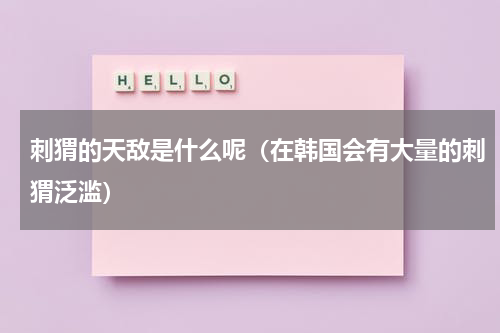 刺猬的天敌是什么呢（在韩国会有大量的刺猬泛滥）