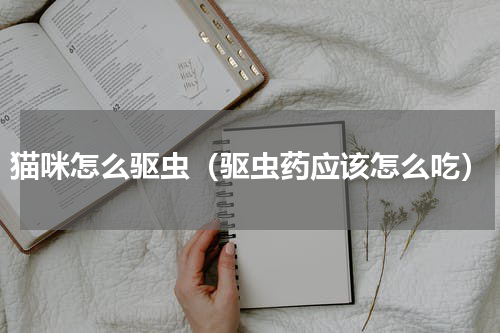 猫咪怎么驱虫（驱虫药应该怎么吃）