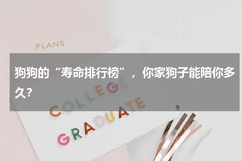 狗狗的“寿命排行榜”，你家狗子能陪你多久？