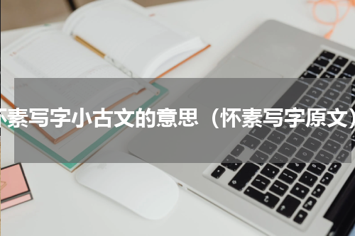 怀素写字小古文的意思（怀素写字原文）