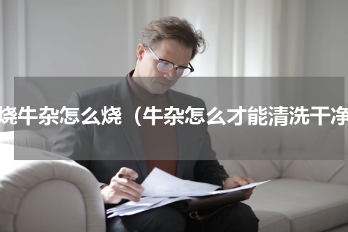 红烧牛杂怎么烧（牛杂怎么才能清洗干净）