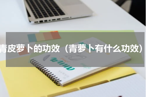 青皮萝卜的功效（青萝卜有什么功效）