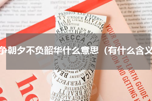 只争朝夕不负韶华什么意思（有什么含义）
