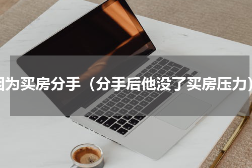 因为买房分手（分手后他没了买房压力）