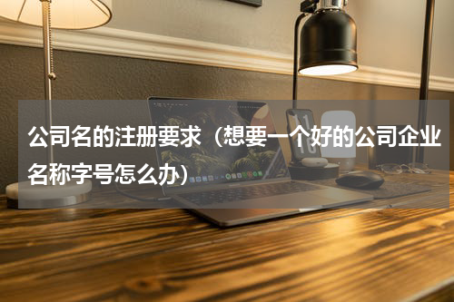 公司名的注册要求（想要一个好的公司企业名称字号怎么办）