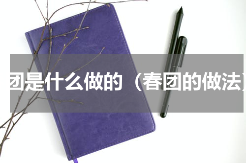 春团是什么做的（春团的做法）