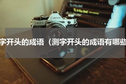 测字开头的成语（测字开头的成语有哪些）