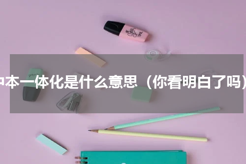 中本一体化是什么意思（你看明白了吗）