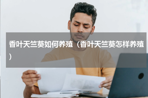 香叶天竺葵如何养殖（香叶天竺葵怎样养殖）