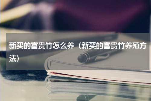 新买的富贵竹怎么养（新买的富贵竹养殖方法）