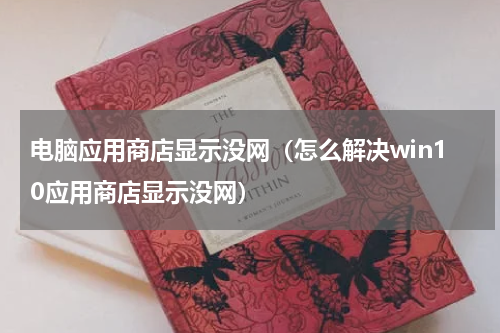 电脑应用商店显示没网（怎么解决win10应用商店显示没网）