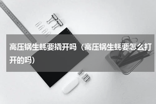 高压锅生蚝要撬开吗（高压锅生蚝要怎么打开的吗）
