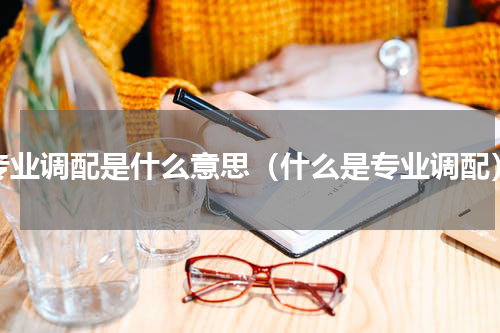 专业调配是什么意思（什么是专业调配）