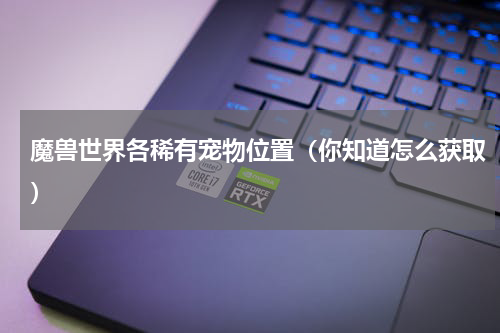 魔兽世界各稀有宠物位置（你知道怎么获取）